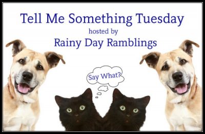 Tell Me Something Tuesday