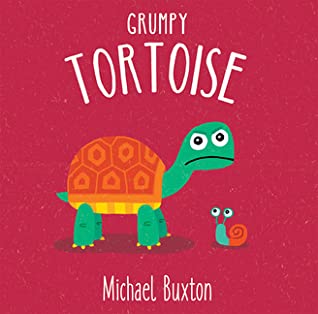 Grumpy Tortoise 